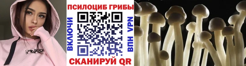 как найти наркотики  Чапаевск  Псилоцибиновые грибы MAGIC MUSHROOMS 